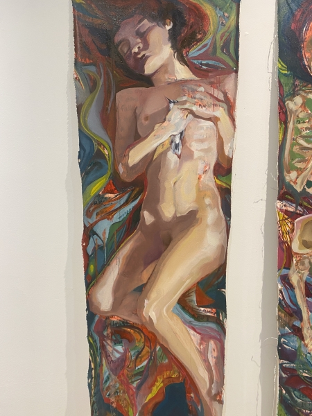 Bluejay Detail Shot&nbsp;