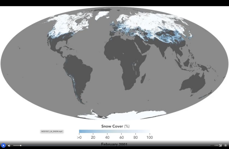 Felicia Peng - Snow cover