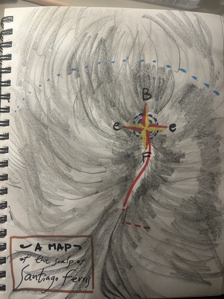 Santiago Ferris - A map of my scalp