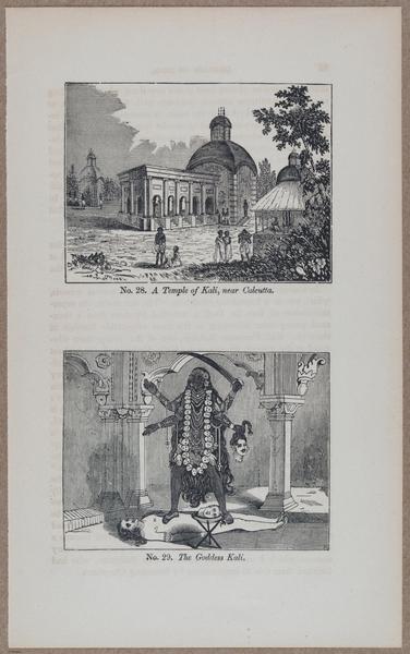 E783 - India Inhabitants - i11882