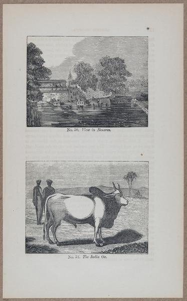 E783 - India Inhabitants - i11896