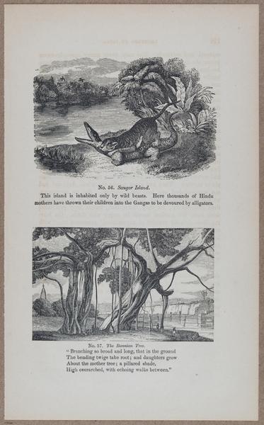 E783 - India Inhabitants - i11899