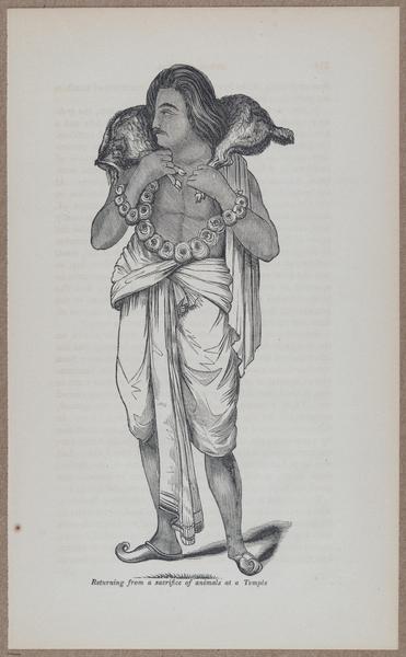 E783 - India Inhabitants - i11920