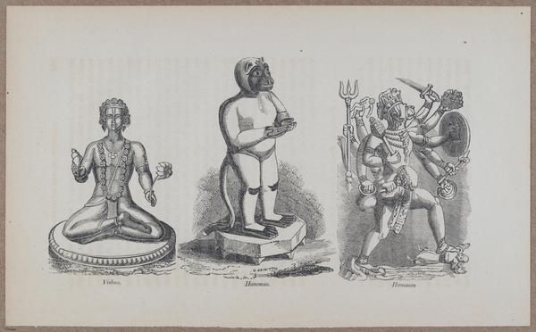 E783 - India Inhabitants - i11926