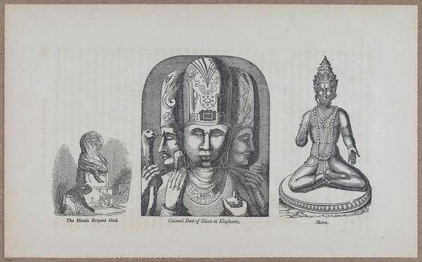 E783 - India Inhabitants - i11928