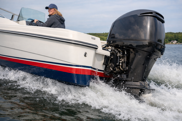 [ 2026-02-13 15:53:14 ]