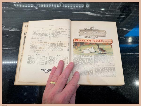 E781 - Child_s Pictorial - i8670