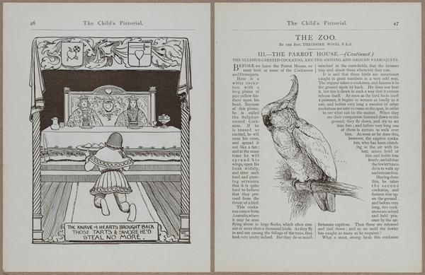 E781 - Child_s Pictorial - i11984-11985