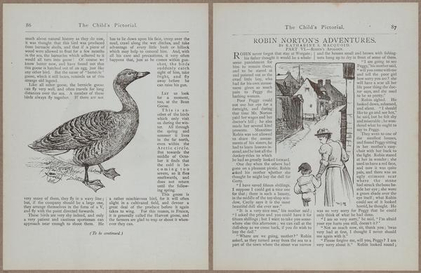 E781 - Child_s Pictorial - i12024-12025