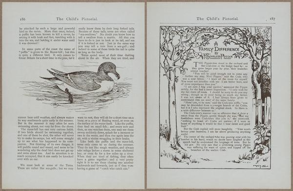 E781 - Child_s Pictorial - i12125-12126