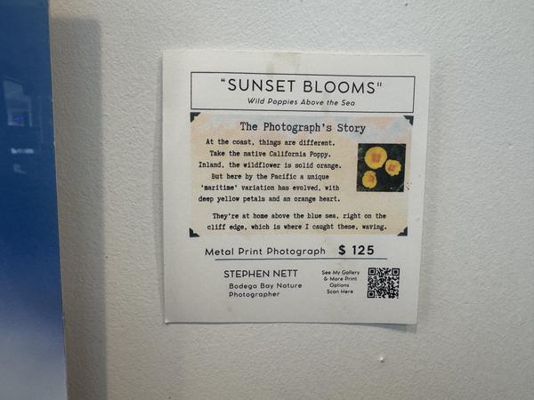 Pictorem for Art on Walls