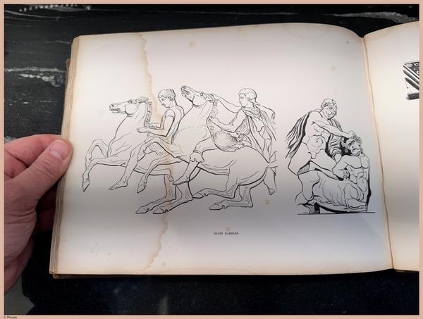 E790 - Progressive Drawing - i0611