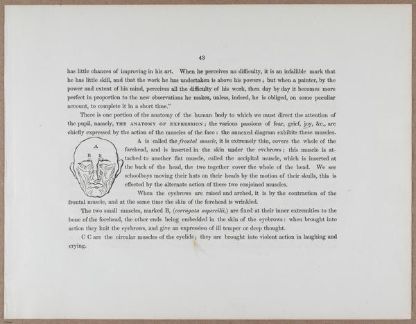 E790 - Progressive Drawing - i12298