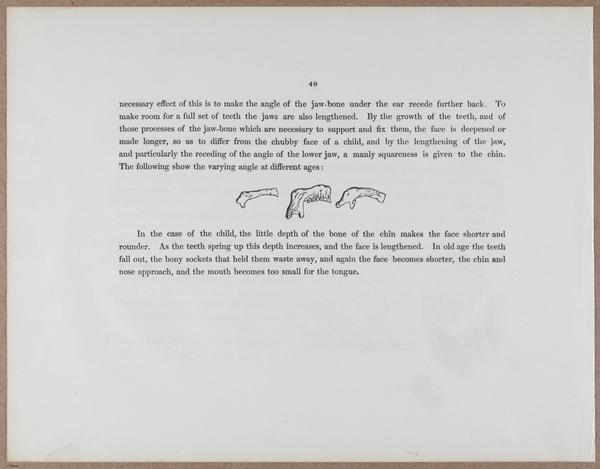 E790 - Progressive Drawing - i12303