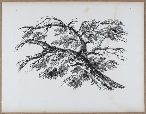 E790 - Progressive Drawing - i12359