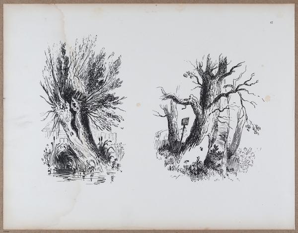 E790 - Progressive Drawing - i12360