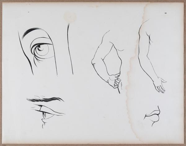 E790 - Progressive Drawing - i12373