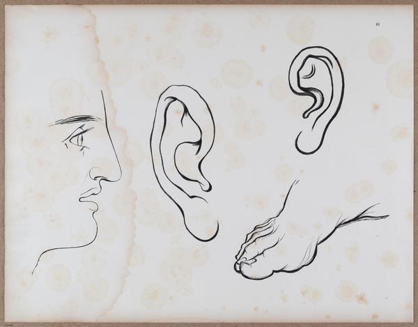 E790 - Progressive Drawing - i12374