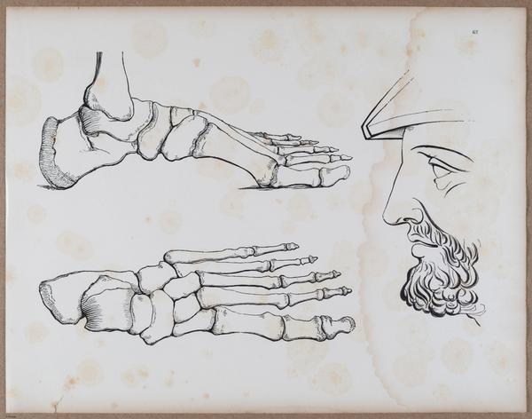 E790 - Progressive Drawing - i12375