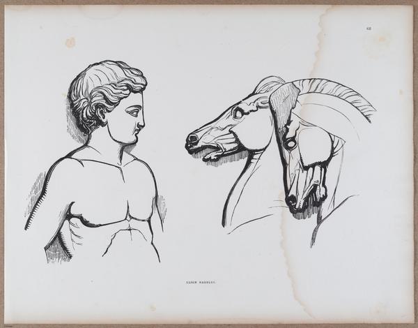 E790 - Progressive Drawing - i12381