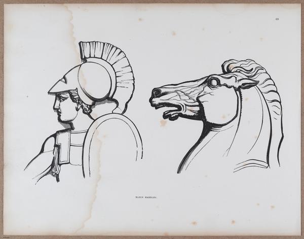 E790 - Progressive Drawing - i12382