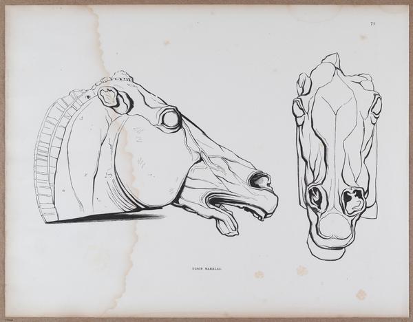 E790 - Progressive Drawing - i12384