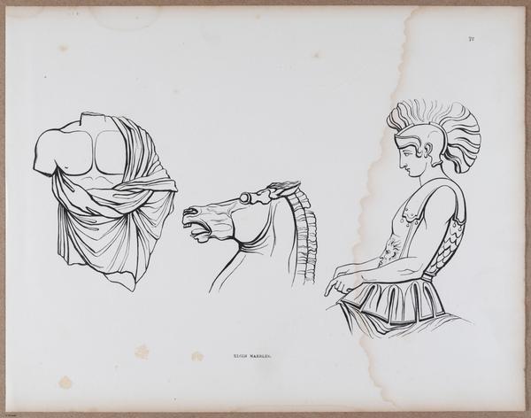 E790 - Progressive Drawing - i12385