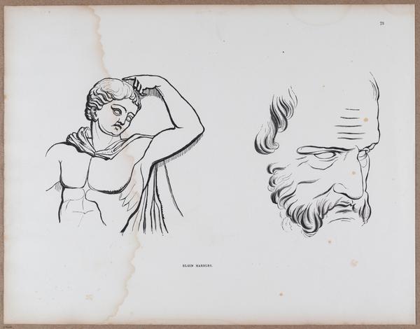 E790 - Progressive Drawing - i12386