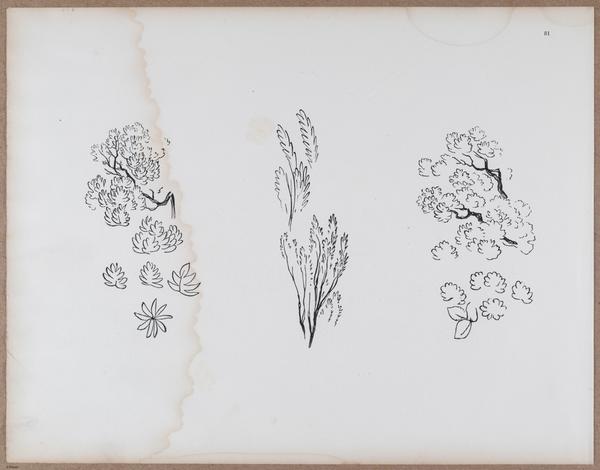 E790 - Progressive Drawing - i12394