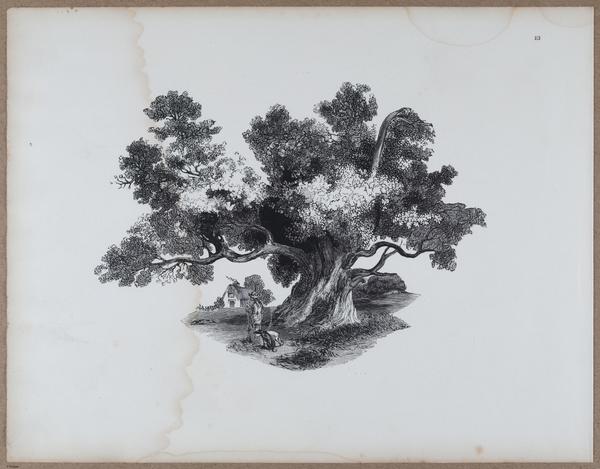 E790 - Progressive Drawing - i12396