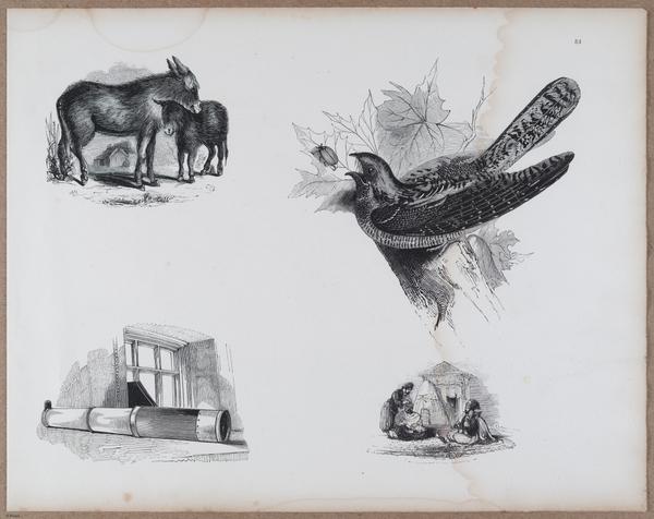 E790 - Progressive Drawing - i12397