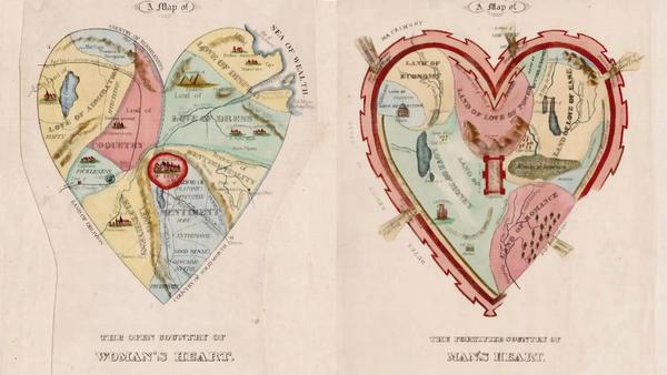 Male and female heart