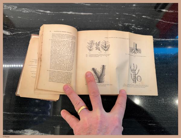 E800 - Principles Geology - i1750