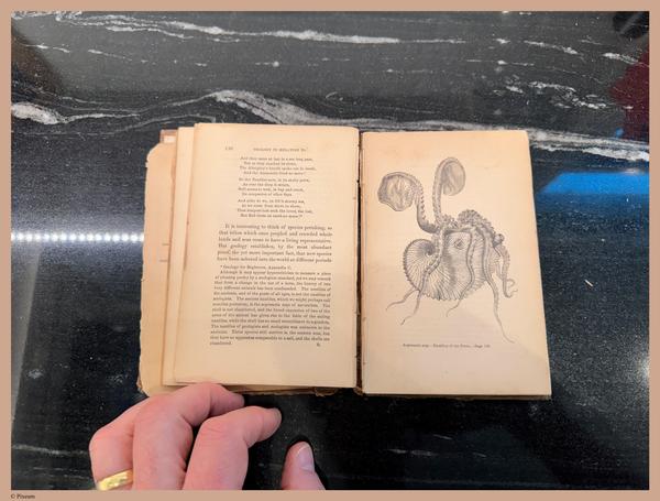 E800 - Principles Geology - i1751