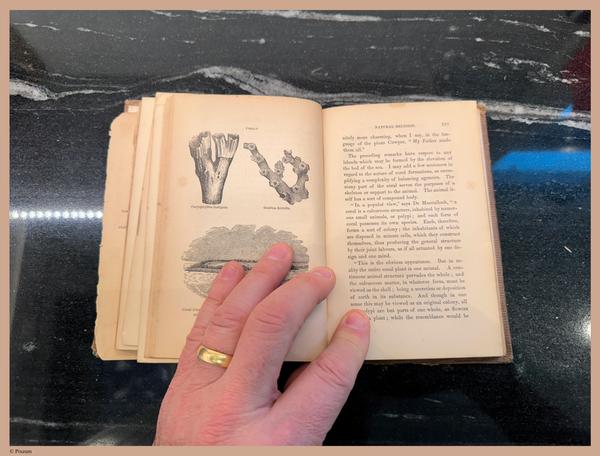 E800 - Principles Geology - i1752