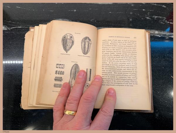 E800 - Principles Geology - i1753