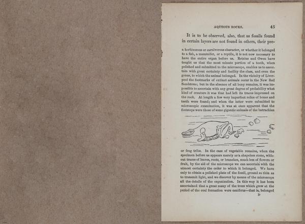 E800 - Principles Geology - i13358