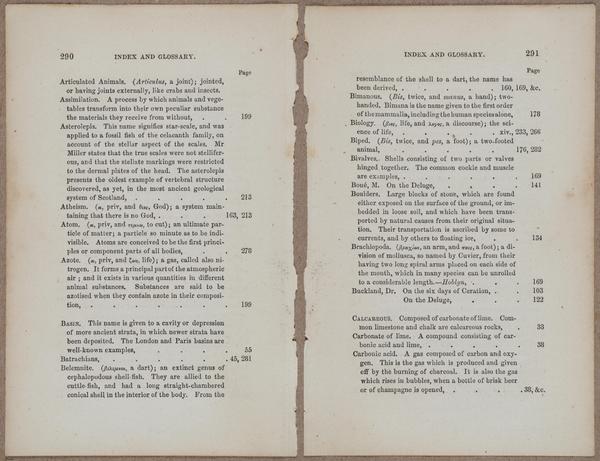 E800 - Principles Geology - i13371-13372