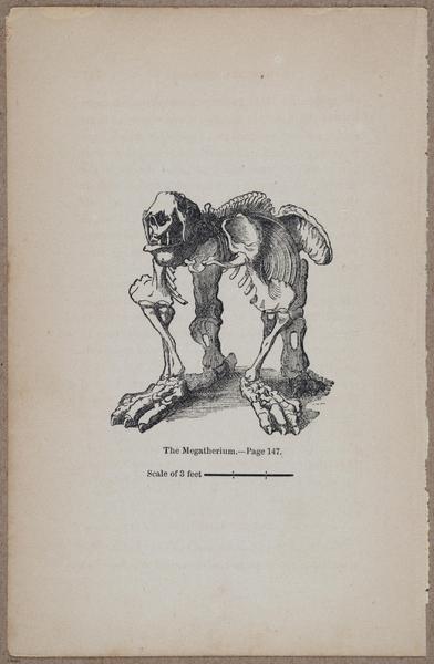 E800 - Principles Geology - i13363