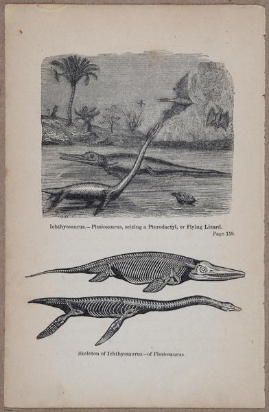 E800 - Principles Geology - i13366