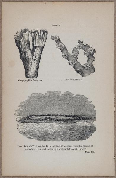 E800 - Principles Geology - i13368