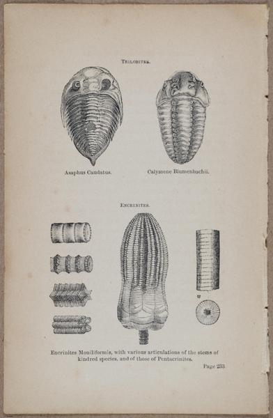 E800 - Principles Geology - i13369