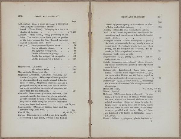 E800 - Principles Geology - i13381-13382