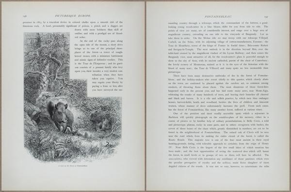 E798 - Picturesque Europe - Vol II - 14229-14230