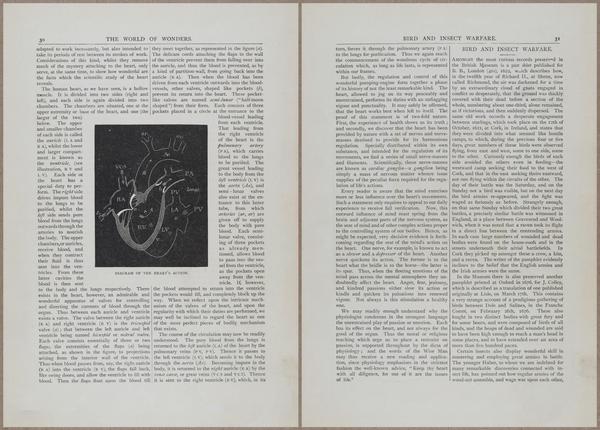E804 - Wonders of the Universe - 1885 - 13626-13627