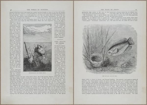 E804 - Wonders of the Universe - 1885 - 13653-13654