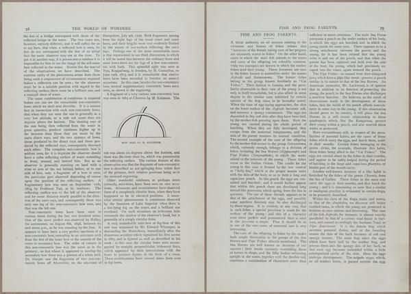 E804 - Wonders of the Universe - 1885 - 13675-13676