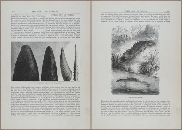 E804 - Wonders of the Universe - 1885 - 13714-13715