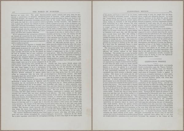 E804 - Wonders of the Universe - 1885 - 13724-13725