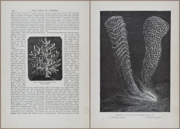 E804 - Wonders of the Universe - 1885 - 13730-13731